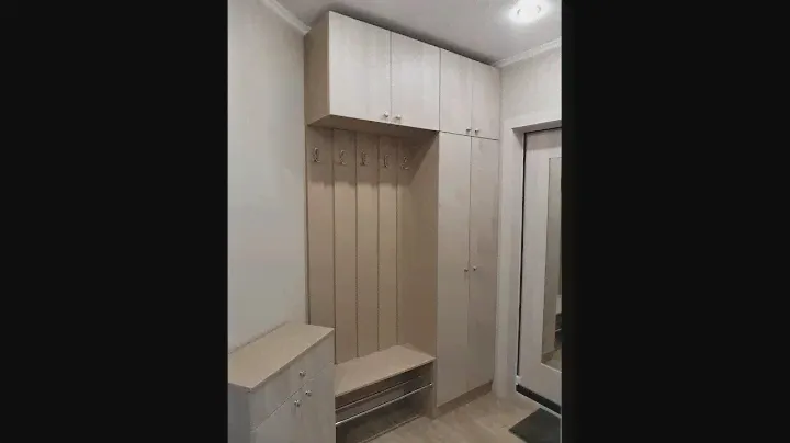 Шкаф в прихожую из ЛДСП EGGER