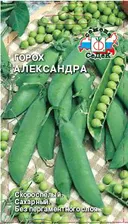 горох Александра семена