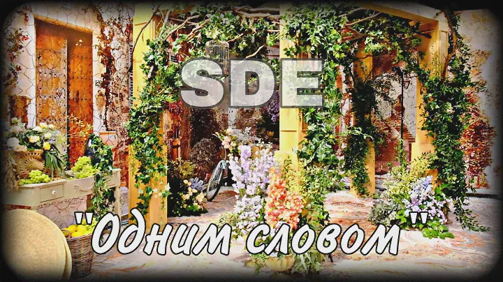 SDE | Шале Березка | ОДНИМ СЛОВОМ