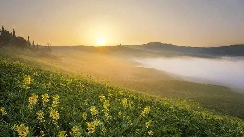 гр. ГороД - Рассвет / https://vk.com/gr.gorod