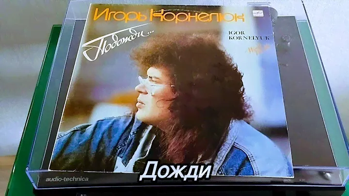 ДОЖДИ 💔 Игорь КОРНЕЛЮК 1990 МЕЛОДИЯ СССР #ностальгия #музыка #винил