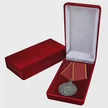 Медаль Александра 2